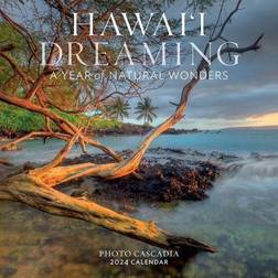 Workman Hawai'i Dreaming Wall Calendar 2024: A Wonders