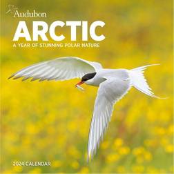 Workman Arctic Wall Calendar 2024: A Stunning Polar Nature