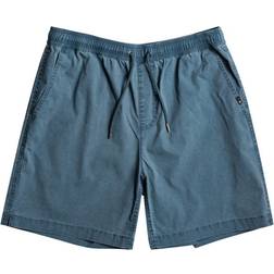 Quiksilver Taxer WS Shorts midnight navy