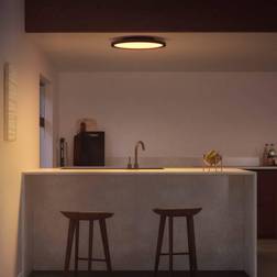 Philips Hue Aurelle Panel RD Takplafond