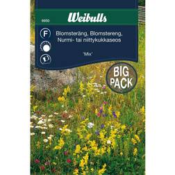 Weibulls Blomsteräng Mix Blomsterfrø