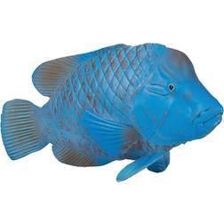 Mojo Blue Groper 387356