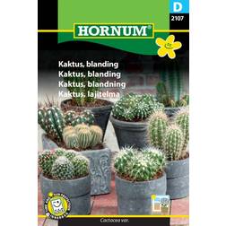 Hornum Kaktus frø, blanding Blomsterfrø