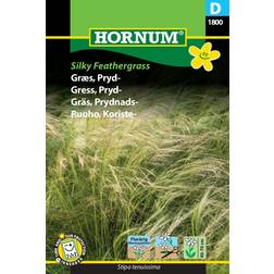 Hornum Græs, Pryd-, Silky Feathergrass Blomsterfrø