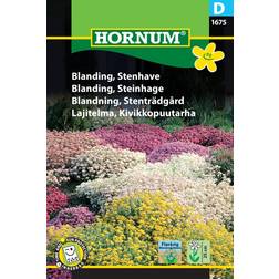 Hornum Stenhave blanding Flerårig blomsterglæde