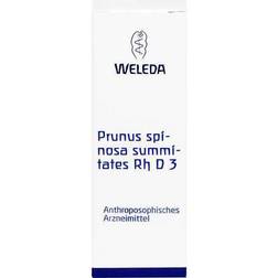 Weleda Prunus Spinosa Summitates Rh D 3 Dilution