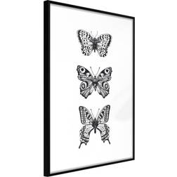 Artgeist Butterfly Collection III Plakat