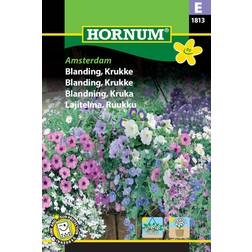 Hornum Blomsterblanding frø, Krukke, Amsterdam Blomsterfrø