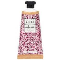 William Morris At Home Aloe & Lime Hand Cream Acorn 50ml