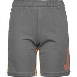 Nike Dri-Fit Shorts Kinder