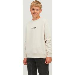 Jack & Jones Jorvesterbro Sweatshirt til Junior Moonbeam