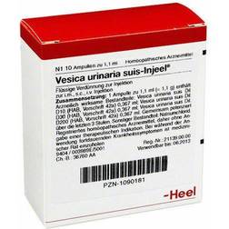 Biologische Heilmittel Heel GmbH VESICA URINARIA suis-Injeel Ampullen 10 St.