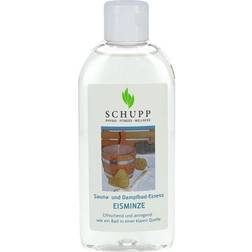 SCHUPP GmbH & Co.KG Sauna und Dampfbad Essenz Eisminze