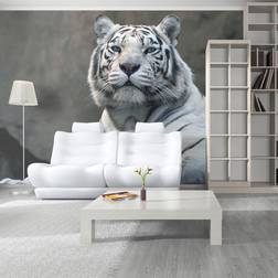 Artgeist Fototapet Bengali tiger i zoo flere størrelser 200x154