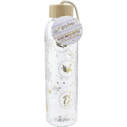 Paladone Harry Potter Vattenflaska 0.5L
