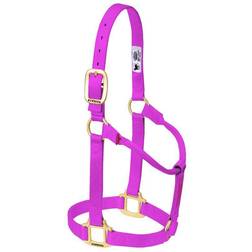 Weaver Original Nylon Halter Raspberry