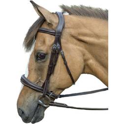 HDR Pro Mono-Crown Padded Bridle Oversize Havana