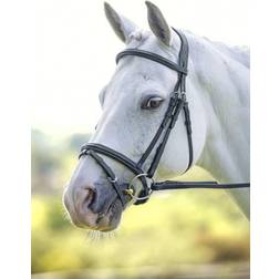 Shires Velociti Padded Raised Flash Bridle