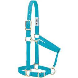 Weaver Basic Adj Halter w/Snap Turquoise