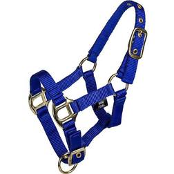 Gatsby 2-ply Nylon Mini Halter Royal