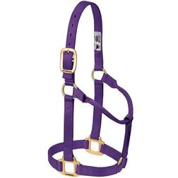 Weaver Original Nylon Halter Purple