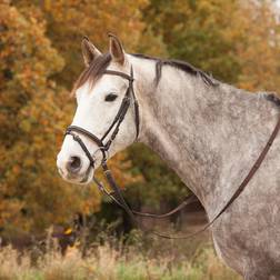 Waldhausen Trense "Diamond" Brun Shetland