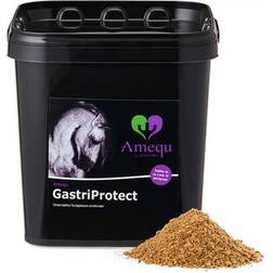 Amequ Gastriprotect