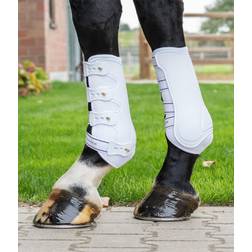 Waldhausen Trendon Breath benskydd m. mesh Svart, X-full