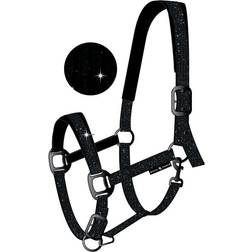 Horse Guard Halter For Jewel - Noir