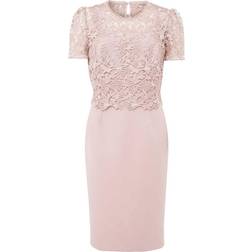 Phase Eight Isabella Lace Midi Dress - Antique Rose