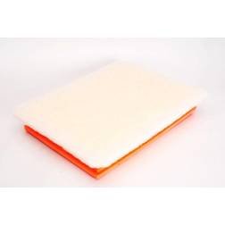 Filtron FILTRON AP 051/5