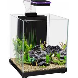 AquaOne Aqua One Betta Sanctuary Fish Tank Black 10L