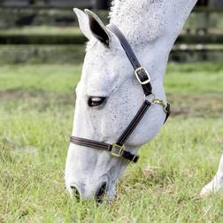 Equinavia Valkyrie Triple Stitched Leather Halter