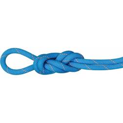 Mammut 9.9 Gym Workhorse Dry Rope Einfachseil