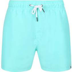 Regatta Men's Mawson III Swim Shorts - Opal Green