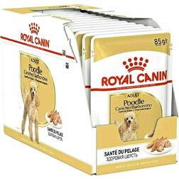 Royal Canin Poodle Adult 12x85g, våtfoder