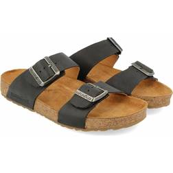 Haflinger Bio Andrea Schwarz Country