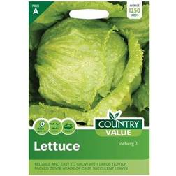 Country Value Lettuce Iceberg 2 Grow Your Own Garden Vegetable Seeds