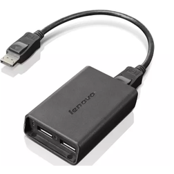 Lenovo DisplayPort - Dual DisplayPort M-F Adapter