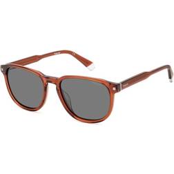 Polaroid PLD 4117 G - Brown