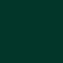 Efco MyColors 12x12 Klassisk karton 216gsm Forest Green