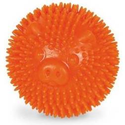 Nobby TPR Noppen Ball PIG