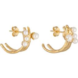 CU Jewellery Pearl kluster örhänge Guld