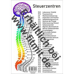 Steuerzentren Wirbelsäule