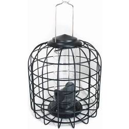 Care Bird foderautomat, sikret mod egern