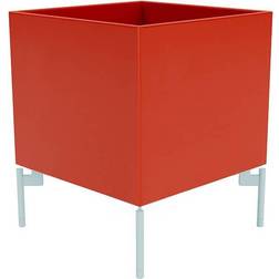 Montana Furniture Colour Box I med Ben