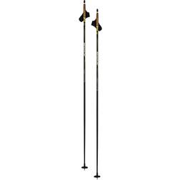 Swix Dynamic D3 Pole