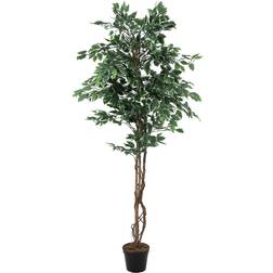 Europalms Variegated Ficus, artificial plant Konstgjord växt