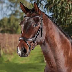 Collegiate Bridons équitation anatomique Weatherbeeta Comfitec Vogue Marron