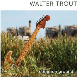 Common Ground Walter Trout (Vinyl)